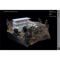 Brainfit Studio 12